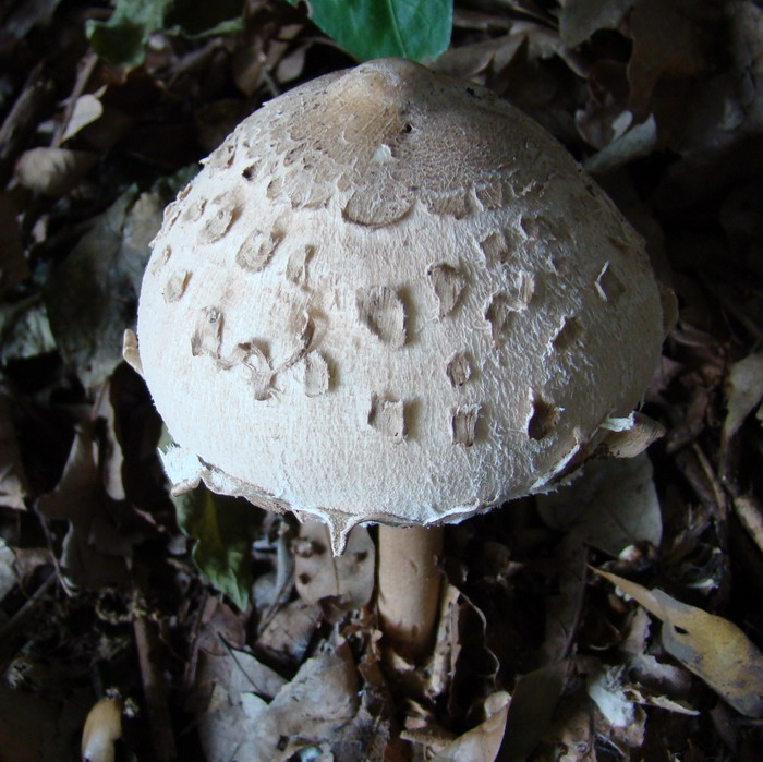 Escursione nel Parco nazionale del Circeo